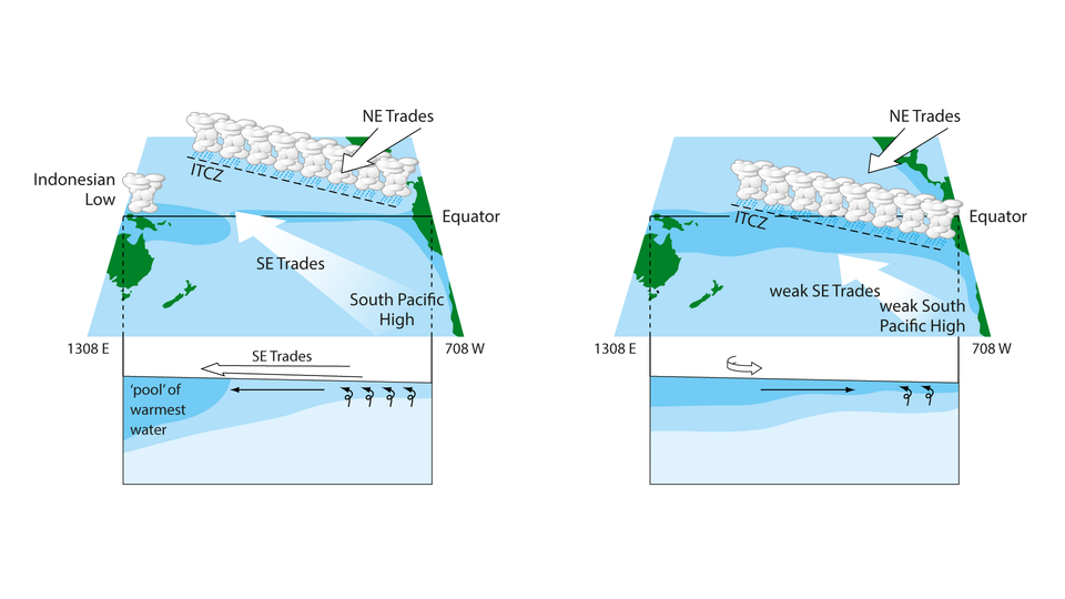 Weather Illustration for Textbook