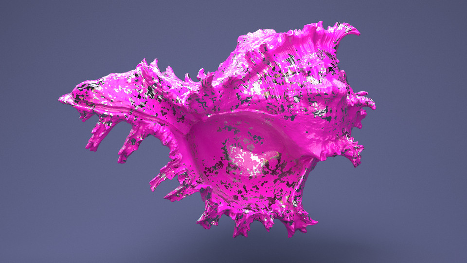 Hovering Pink Conch for No Real Reason!
