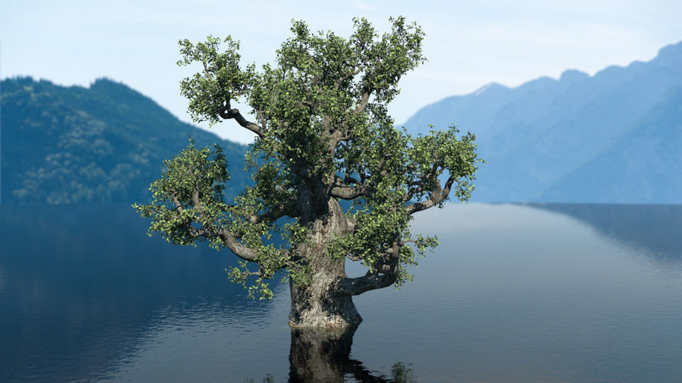 Tree in Lake Archviz Render