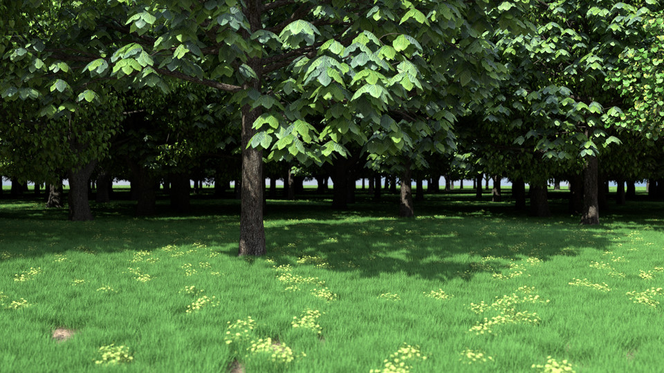 Woodland Grassy Outdoor Archviz Scene Render