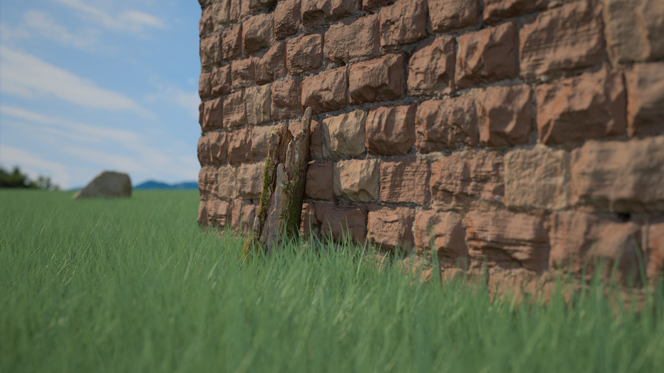 Wall and Grassy Field Close-up Outdoor Archviz Render